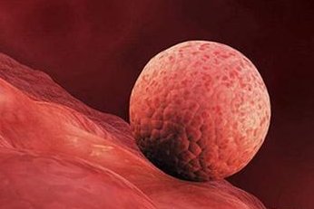 排卵障碍不容忽视，不孕大多是其原因！五指山市哪家医院擅长排卵障碍试管方案？