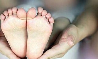 试管婴儿中移植胚胎2pn和1pn谁的着床率更高？