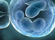 在泰国皇家生殖遗传医院曼谷医院做试管婴儿要多少钱？成功率怎么样？附试管怀孕机构名单一览