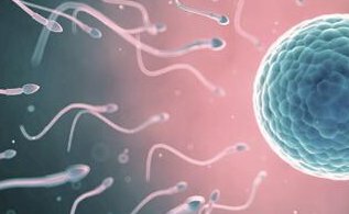 确诊为免疫性不孕能在双鸭山市做试管婴儿吗？做三代试管需要多少钱？