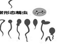 日本三代试管婴儿技术怎么样？附三代试管成功率统计表