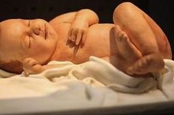 2026潮州试管婴儿多少费用？附费用构成！