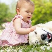 三代试管价格？附详细费用排名？