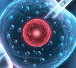 宁夏公立医院做试管婴儿的流程安排是怎么样的？如何提高试管成功率？