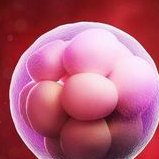 揭秘预产期预测大法，让你秒变“预产期小达人”！