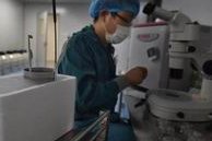 湖北试管婴儿医院哪里成功率高