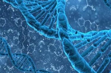 广西桂林三代试管价格是多少？附桂林生孩子医院推荐？