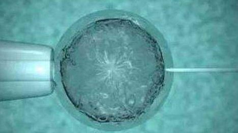 锦州北镇市可以做试管婴儿吗，锦州能做试管吗