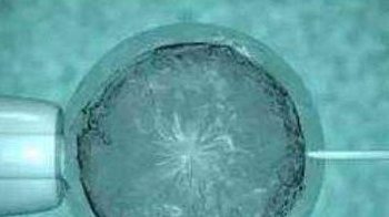 2026在曲靖市做基因检测多少钱？基因筛查可以规避哪些遗传病？