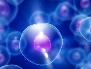 赣州南康区试管婴儿哪家好，赣州南康区试管婴儿哪家好一点