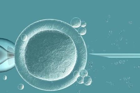 济南试管婴儿大概多少钱？现在做试管婴儿需要多少钱？